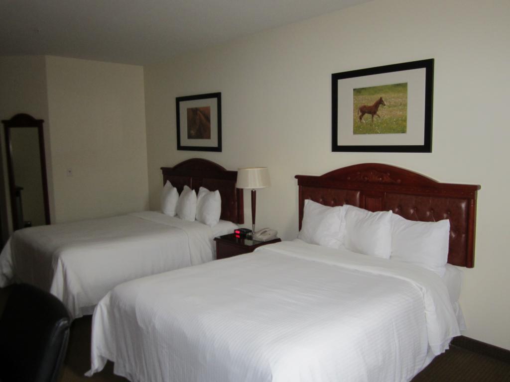 Tumbler Ridge Trend Mountain Hotel & Conference Centre חדר תמונה