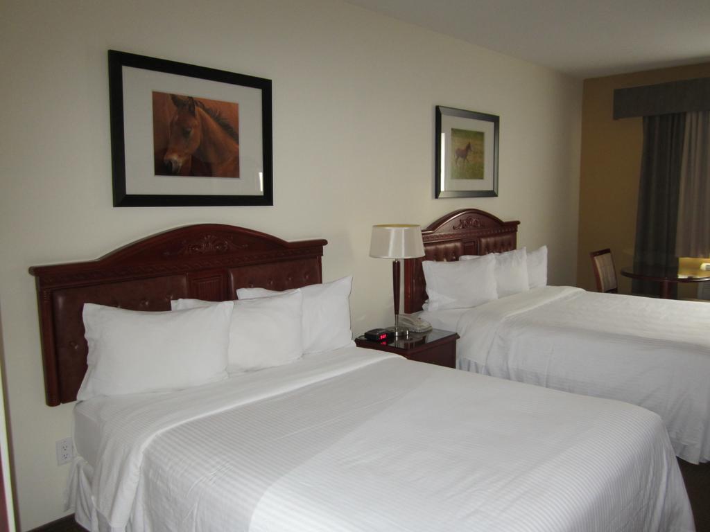 Tumbler Ridge Trend Mountain Hotel & Conference Centre חדר תמונה